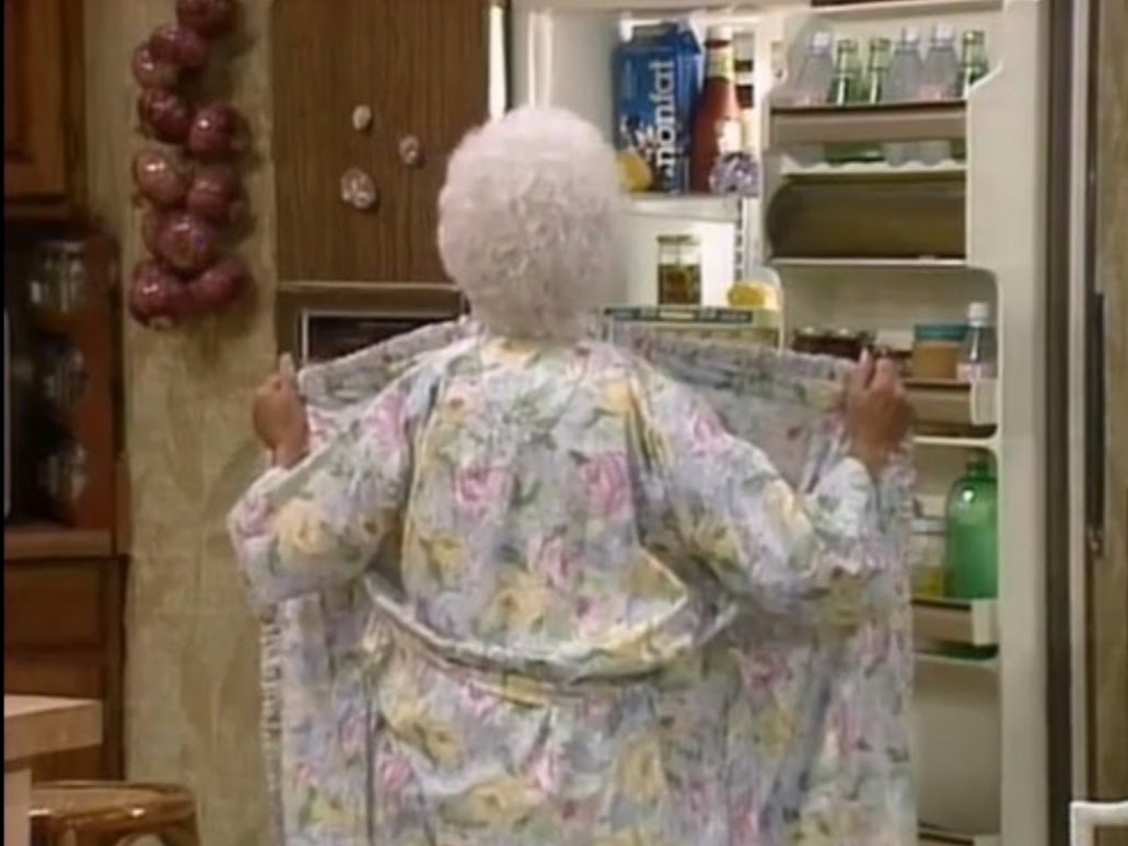 Sophia holding her robe open in front of the fridge